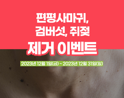 뉴스룸